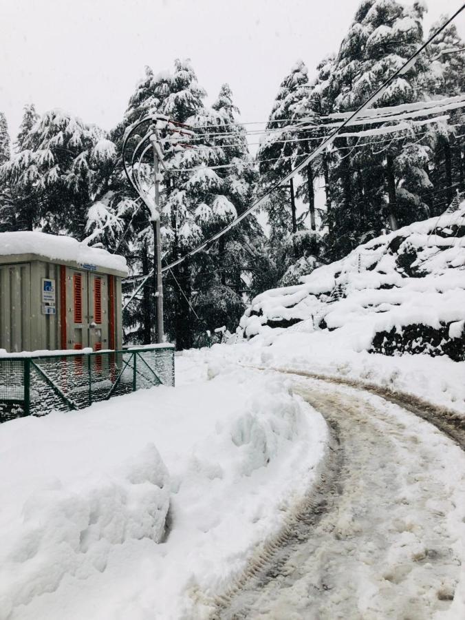 Hotel Neelkanth Katra  Dış mekan fotoğraf