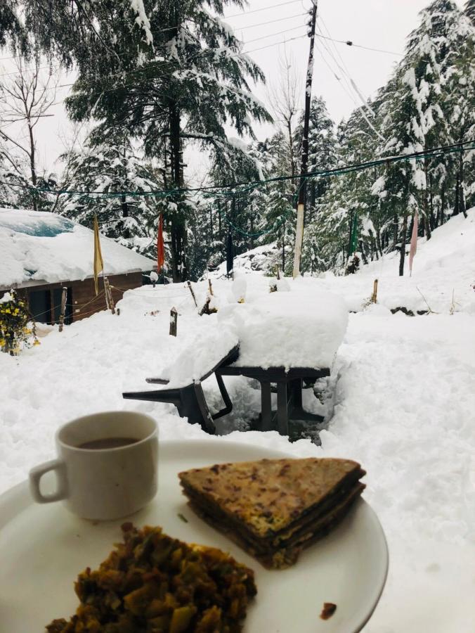 Hotel Neelkanth Katra  Dış mekan fotoğraf